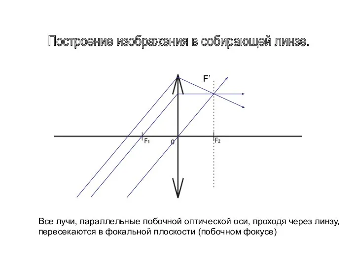 Построение изображения в собирающей линзе. F’ Все лучи, параллельные побочной оптической оси,