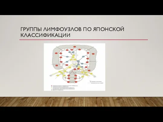 ГРУППЫ ЛИМФОУЗЛОВ ПО ЯПОНСКОЙ КЛАССИФИКАЦИИ