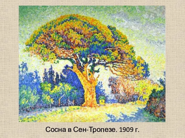 Сосна в Сен-Тропезе. 1909 г.