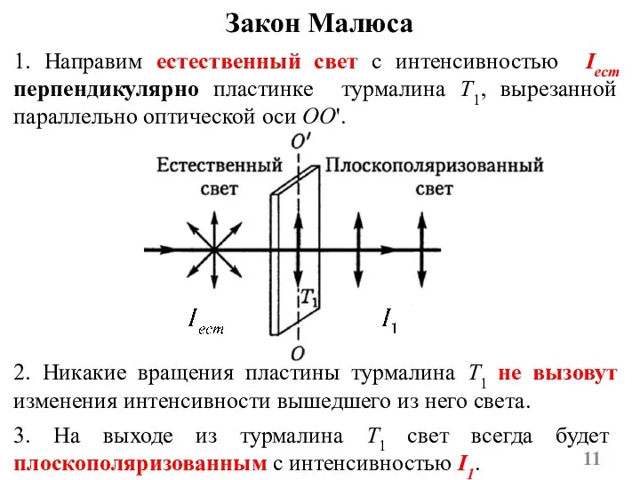 Закон Малюса 2. Никакие вращения пластины турмалина T1 не вызовут изменения интенсивности