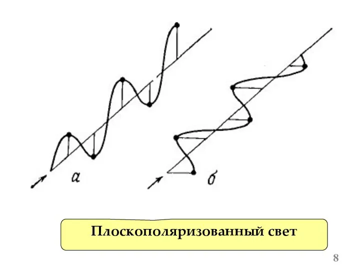 Плоскополяризованный свет