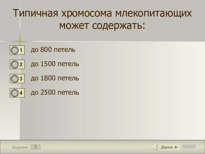 3 Задание Типичная хромосома млекопитающих может содержать: до 800 петель до 1500