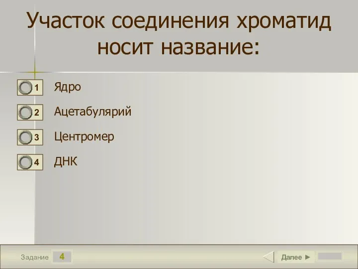 4 Задание Участок соединения хроматид носит название: Ядро Ацетабулярий Центромер ДНК Далее ►