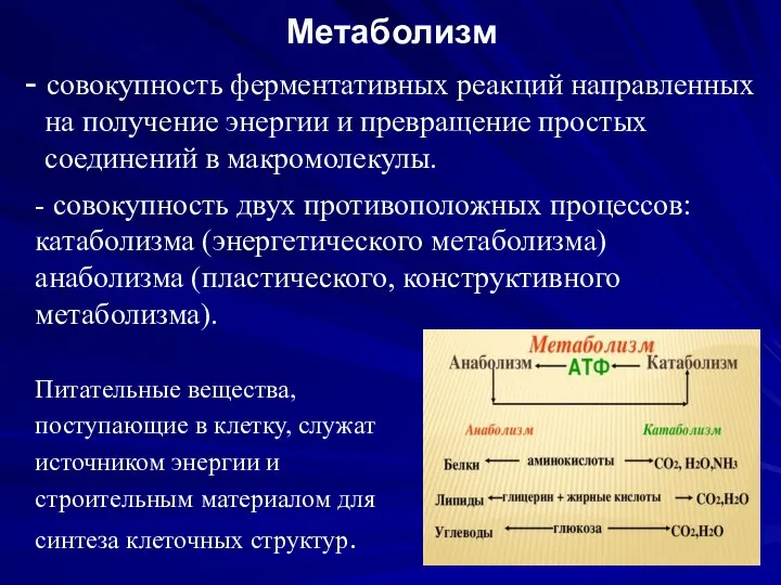 Метаболизм - совокупность ферментативных реакций направленных на получение энергии и превращение простых