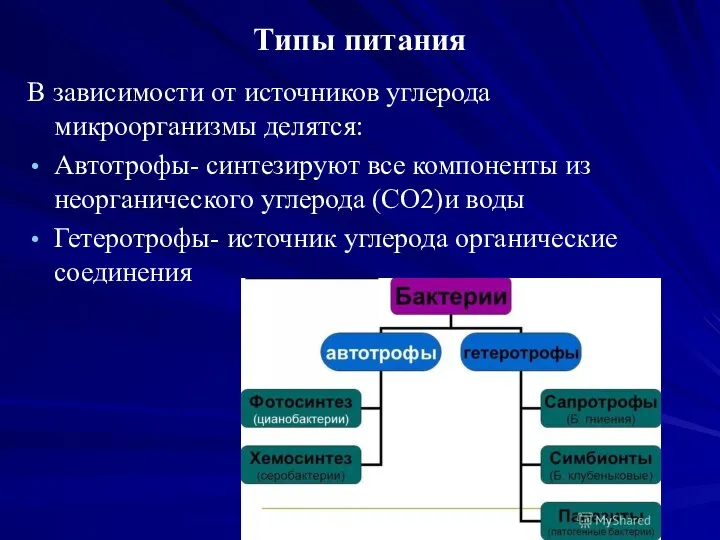 Типы питания В зависимости от источников углерода микроорганизмы делятся: Автотрофы- синтезируют все