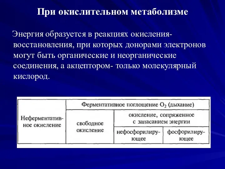 При окислительном метаболизме Энергия образуется в реакциях окисления-восстановления, при которых донорами электронов