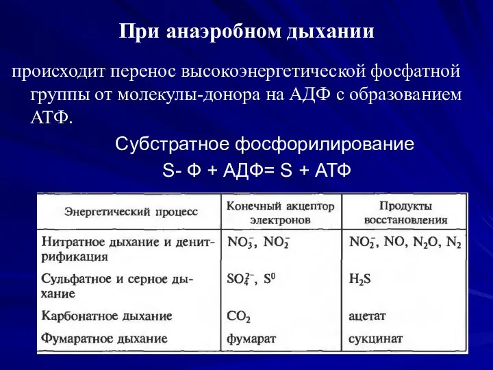 При анаэробном дыхании происходит перенос высокоэнергетической фосфатной группы от молекулы-донора на АДФ