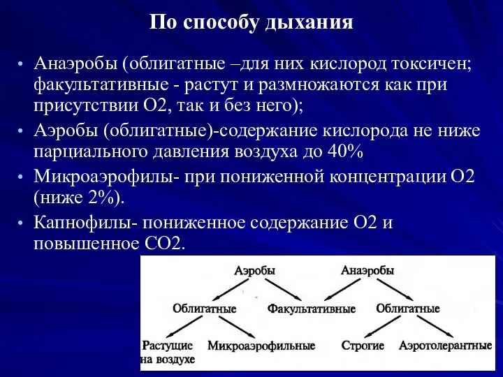 По способу дыхания Анаэробы (облигатные –для них кислород токсичен; факультативные - растут