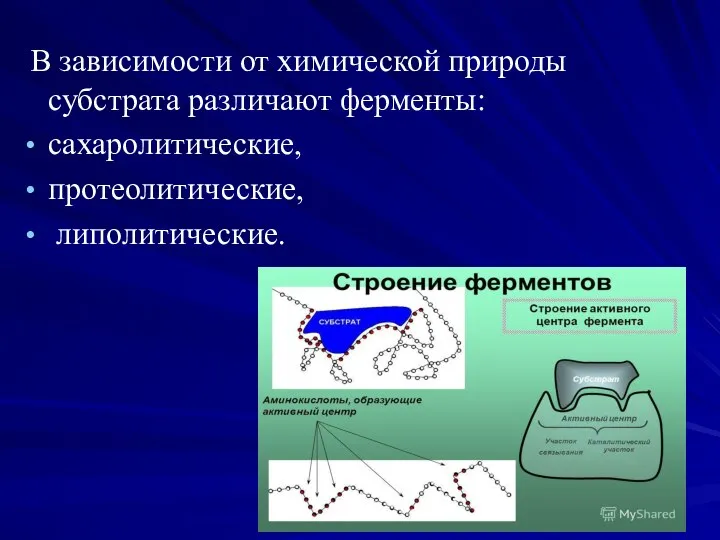 В зависимости от химической природы субстрата различают ферменты: сахаролитические, протеолитические, липолитические.