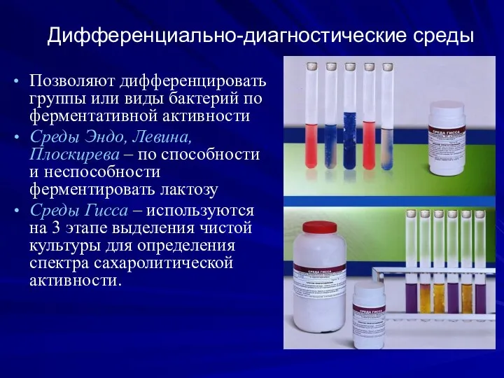 Дифференциально-диагностические среды Позволяют дифференцировать группы или виды бактерий по ферментативной активности Среды