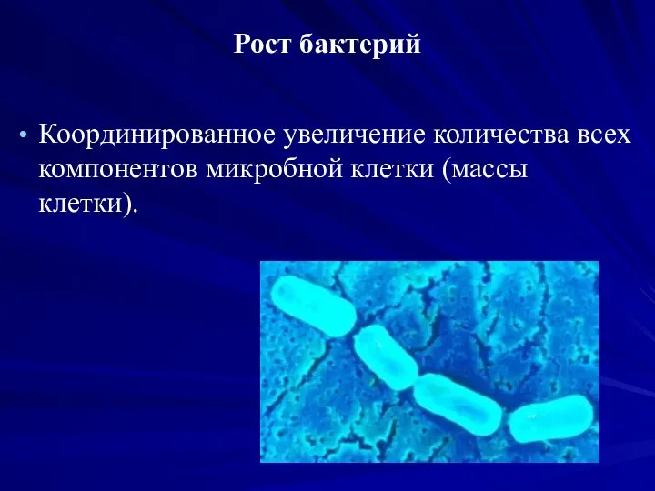 Рост бактерий Координированное увеличение количества всех компонентов микробной клетки (массы клетки).