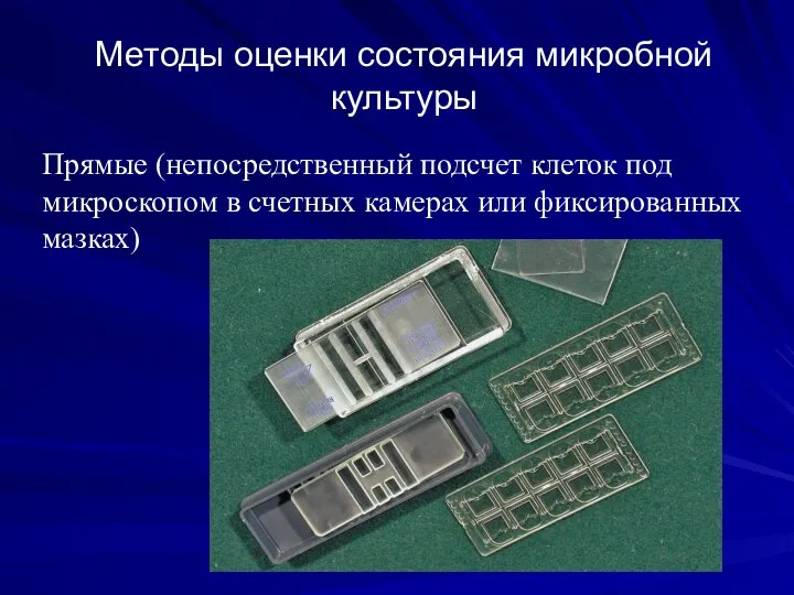 Методы оценки состояния микробной культуры Прямые (непосредственный подсчет клеток под микроскопом в