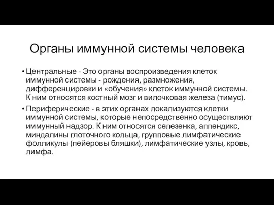 Органы иммунной системы человека Центральные - Это органы воспроизведения клеток иммунной системы