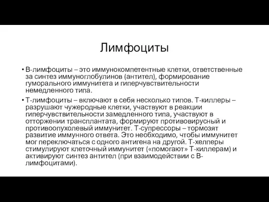 Лимфоциты В-лимфоциты – это иммунокомпетентные клетки, ответственные за синтез иммуноглобулинов (антител), формирование