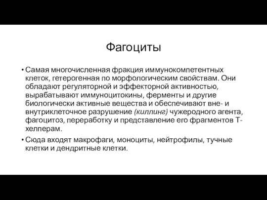 Фагоциты Самая многочисленная фракция иммунокомпетентных клеток, гетерогенная по морфологическим свойствам. Они обладают