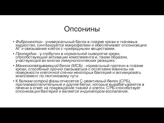 Опсонины Фибронектин - универсальный белок в плазме крови и тканевых жидкостях, синтезируется