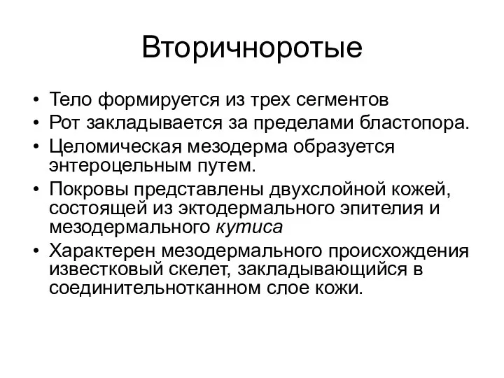 Вторичноротые Тело формируется из трех сегментов Рот закладывается за пределами бластопора. Целомическая