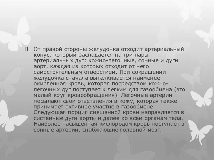 От правой стороны желудочка отходит артериальный конус, который распадается на три пары