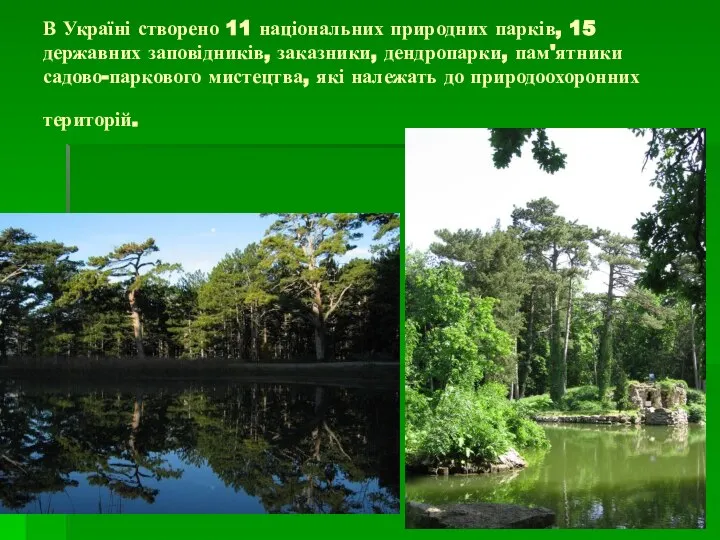 В Україні створено 11 національних природних парків, 15 державних заповідників, заказники, дендропарки,