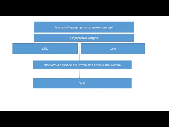 Ресурсный центр промышленного кластера Подготовка кадров СПО ДПО Формат «Кадровое агентство для промышленности» WSR