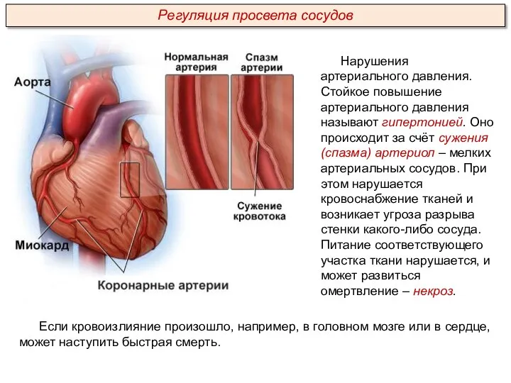 Если кровоизлияние произошло, например, в головном мозге или в сердце, может наступить