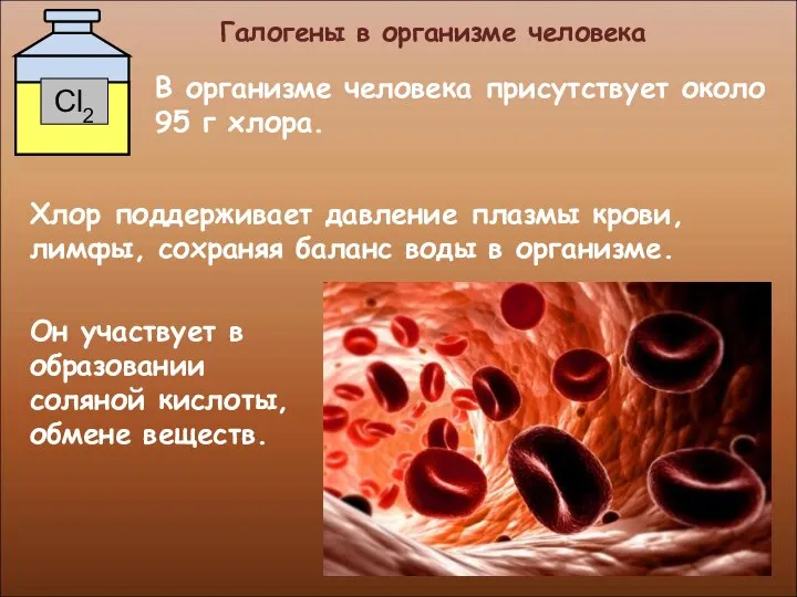 Галогены в организме человека Он участвует в образовании соляной кислоты, обмене веществ.