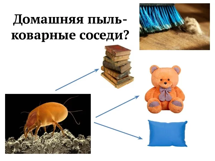 Домашняя пыль- коварные соседи?