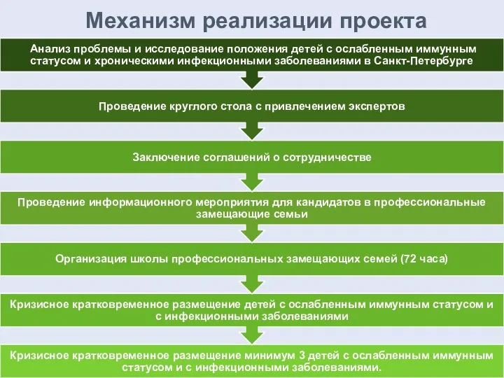 Механизм реализации проекта