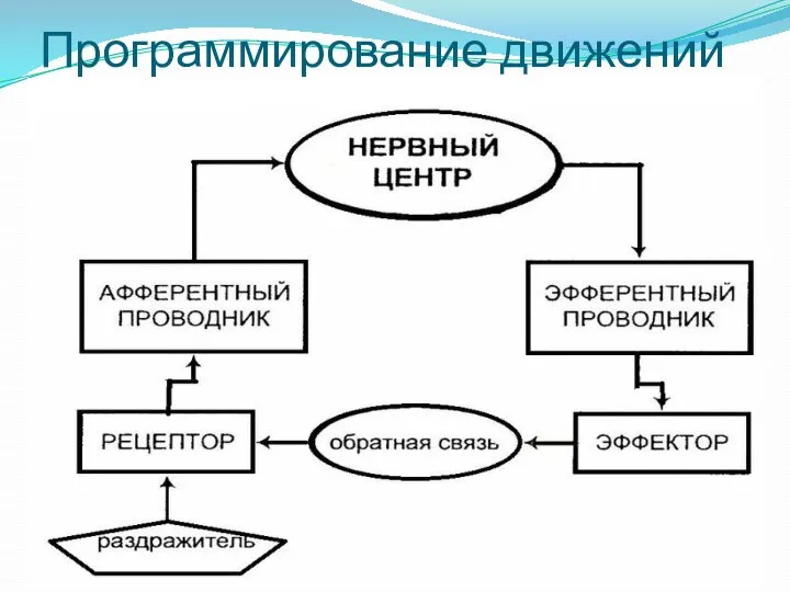 Программирование движений