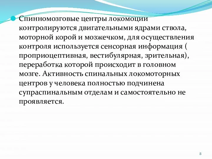 Спинномозговые центры локомоции контролируются двигательными ядрами ствола, моторной корой и мозжечком, для