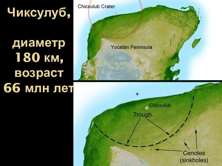 Чиксулуб, диаметр 180 км, возраст 66 млн лет