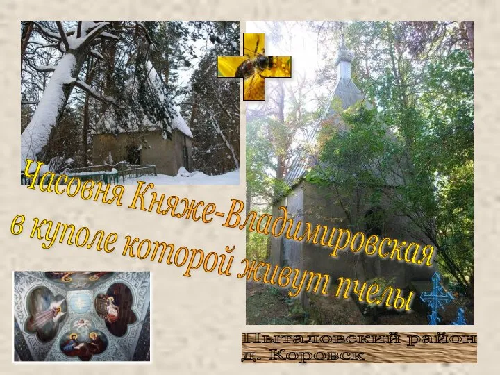 Часовня Княже-Владимировская в куполе которой живут пчелы Пыталовский район д. Коровск