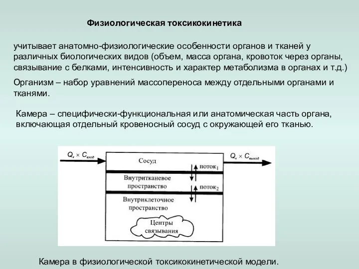 Физиологическая токсикокинетика Организм – набор уравнений массопереноса между отдельными органами и тканями.