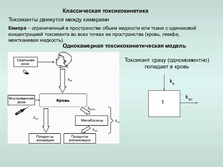 Классическая токсикокинетика Токсиканты движутся между камерами Камера – ограниченный в пространстве объем