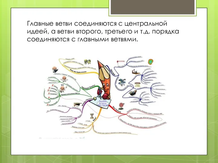 Главные ветви соединяются с центральной идеей, а ветви второго, третьего и т.д.