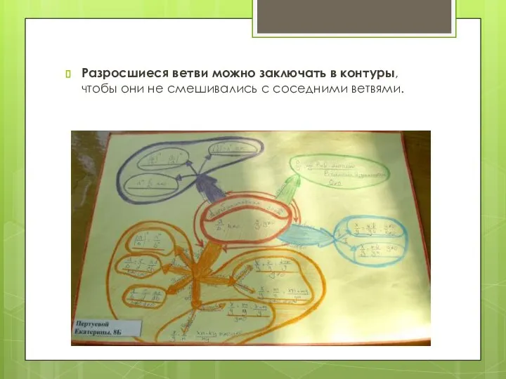 Разросшиеся ветви можно заключать в контуры, чтобы они не смешивались с соседними ветвями.