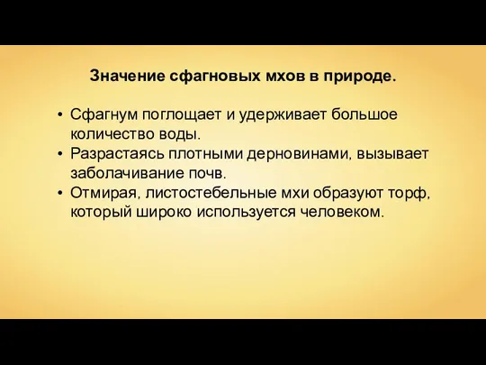 Значение сфагновых мхов в природе. Сфагнум поглощает и удерживает большое количество воды.