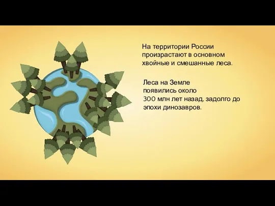 На территории России произрастают в основном хвойные и смешанные леса. Леса на