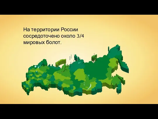 На территории России сосредоточено около 3/4 мировых болот.