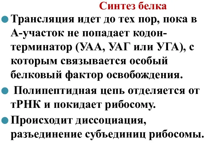 Синтез белка Трансляция идет до тех пор, пока в А-участок не попадает