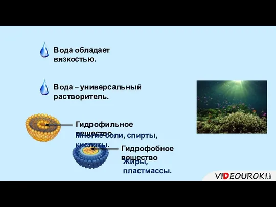 Вода обладает вязкостью. Вода – универсальный растворитель. Гидрофильное вещество Гидрофобное вещество Многие