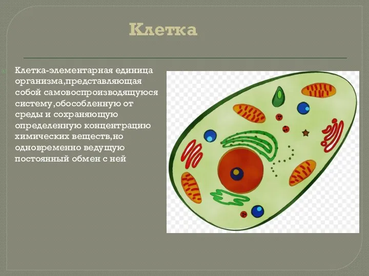 Клетка-элементарная единица организма,представляющая собой самовоспроизводящуюся систему,обособленную от среды и сохраняющую определенную концентрацию