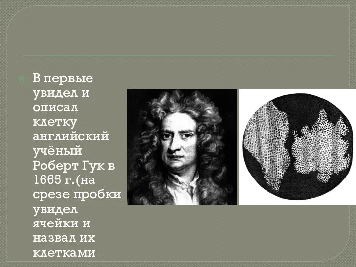 В первые увидел и описал клетку английский учёный Роберт Гук в 1665
