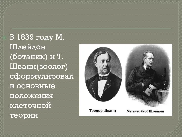 В 1839 году М.Шлейдон(ботаник) и Т.Шванн(зоолог) сформулировали основные положения клеточной теории