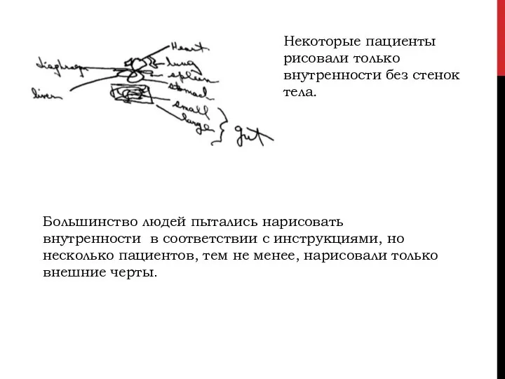 Некоторые пациенты рисовали только внутренности без стенок тела. Большинство людей пытались нарисовать