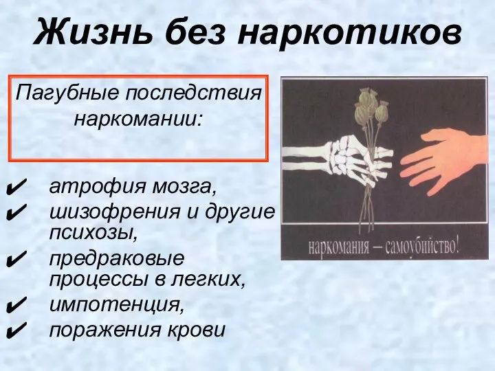 Жизнь без наркотиков Пагубные последствия наркомании: атрофия мозга, шизофрения и другие психозы,