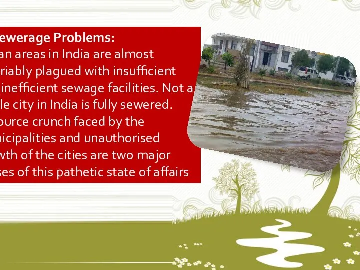 8. Sewerage Problems: Urban areas in India are almost invariably plagued with