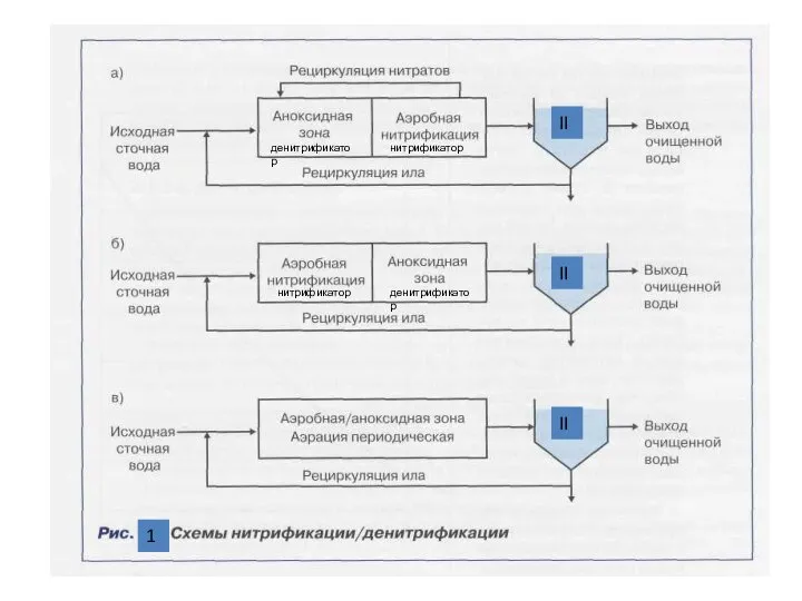 1 II II II денитрификатор денитрификатор нитрификатор нитрификатор