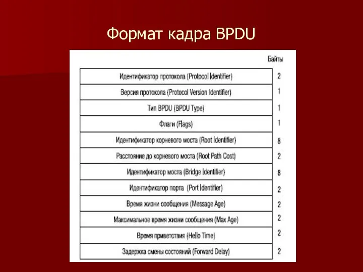 Формат кадра BPDU