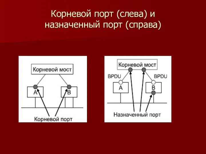 Корневой порт (слева) и назначенный порт (справа)